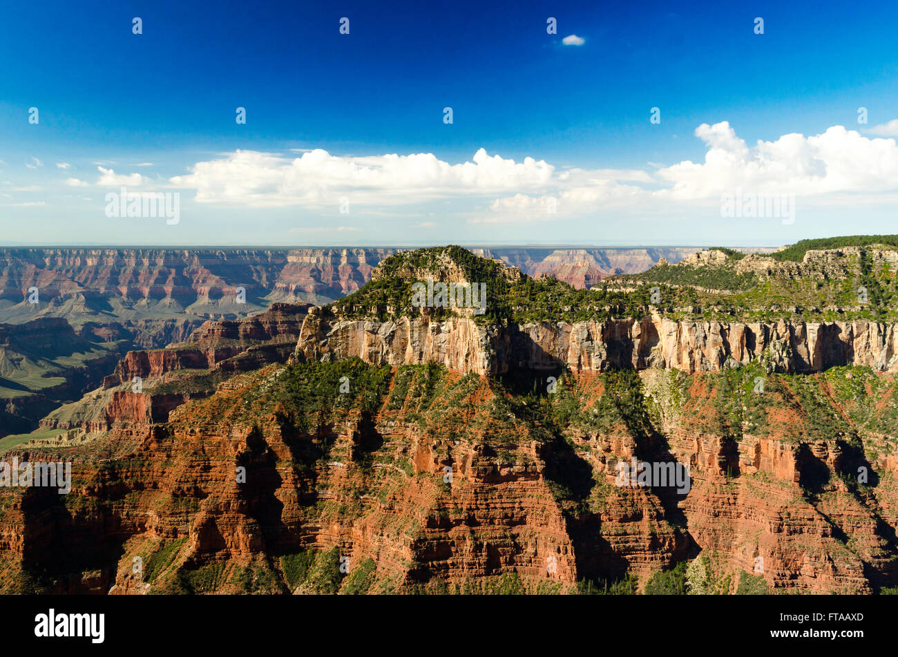 Guardando oltre il gran canyon con colorati in rosso e arancione scogliere sotto un cielo azzurro con soffici nuvole. Foto Stock