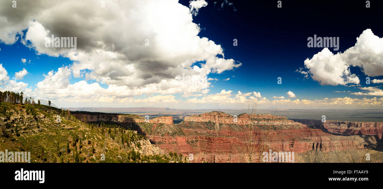 Guardando oltre il gran canyon con colorati in rosso e arancione scogliere sotto un cielo azzurro con soffici nuvole. Foto Stock