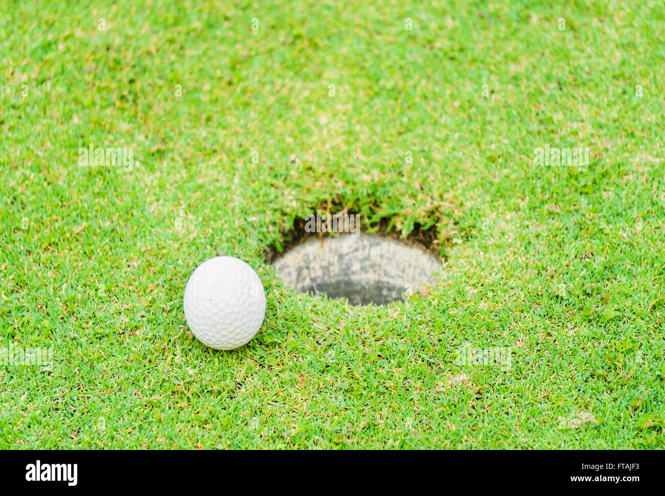 Una pallina da golf vicino al bordo della tazza Foto Stock