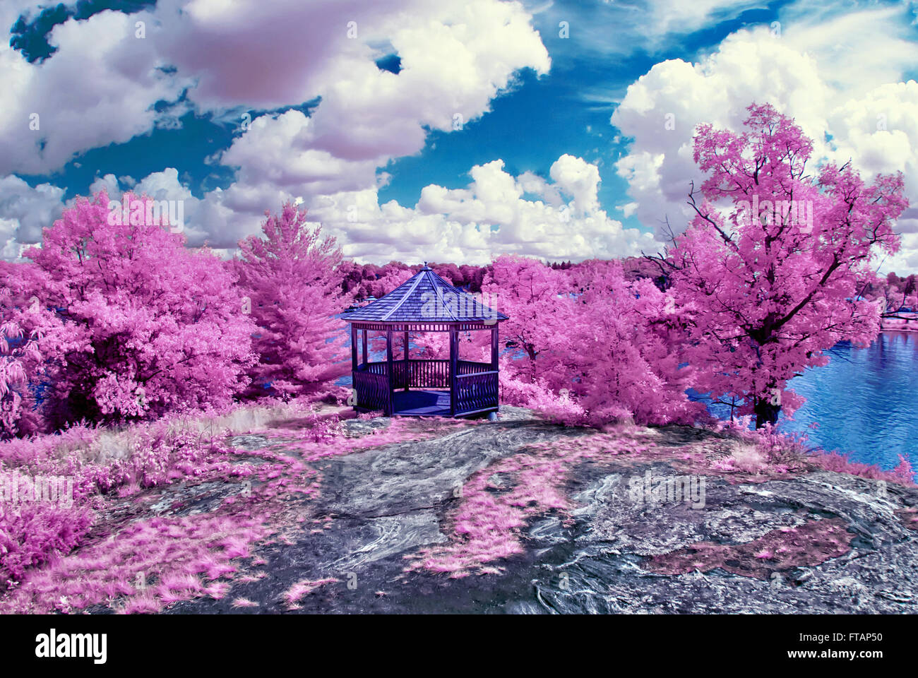 Fotografato con un 665nm infrarosso vicino telecamera convertito, questa immagine raffigura una magica primavera come la scena. Foto Stock