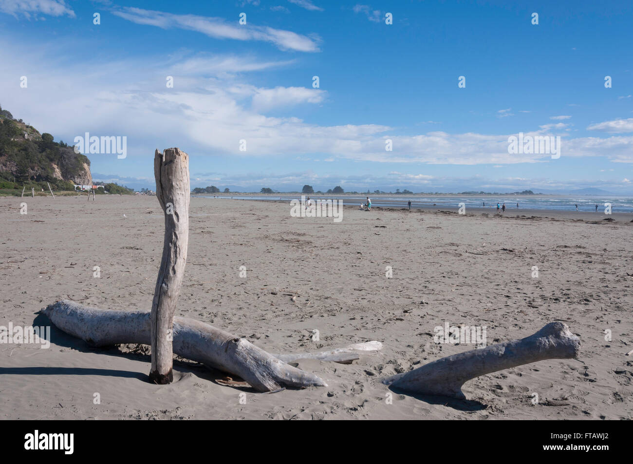 Sumner Beach, Sumner, Christchurch, regione di Canterbury, Isola del Sud, Nuova Zelanda Foto Stock