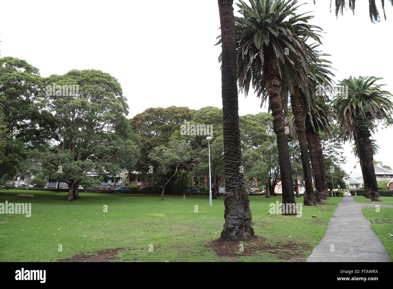 Elkington Park di Balmain, Sydney, Australia Foto Stock