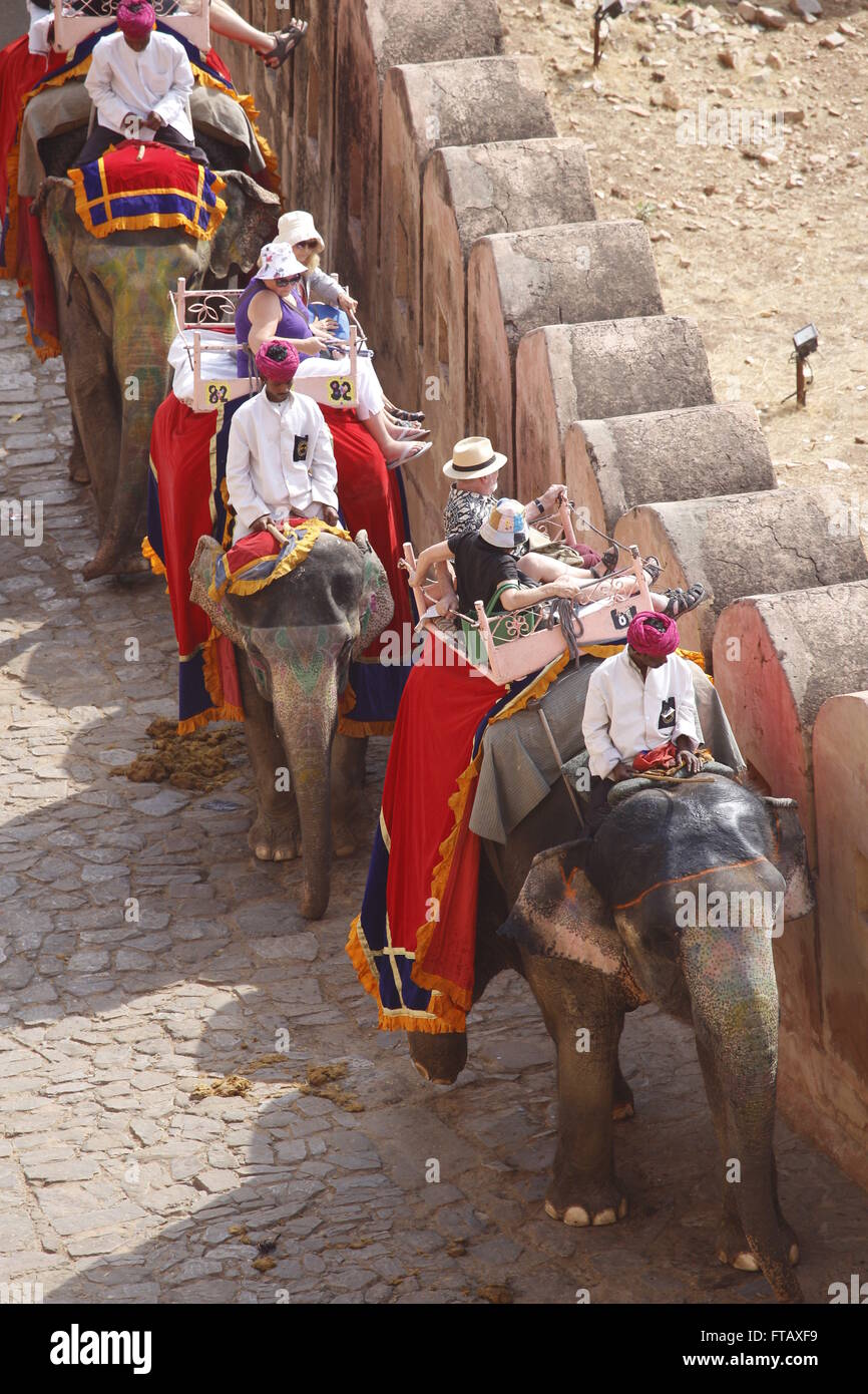 Gli elefanti che trasportano i turisti al Forte Amber, Jaipur, Rajasthan, India Foto Stock