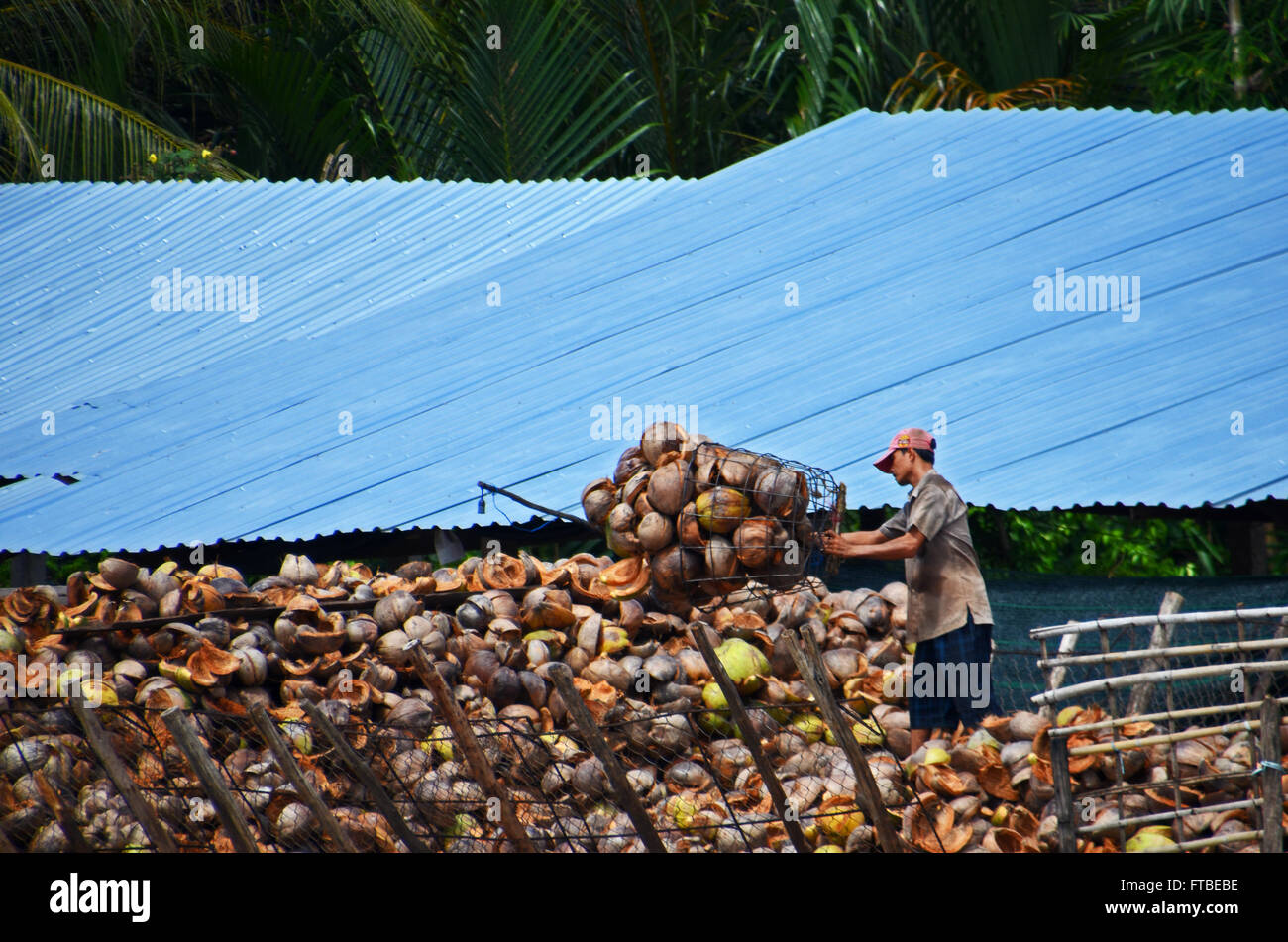 Un lavoratore scarica i gusci di noce di cocco in una barca da carico nel Delta del Mekong vicino a Ben tre, Vietnam Foto Stock