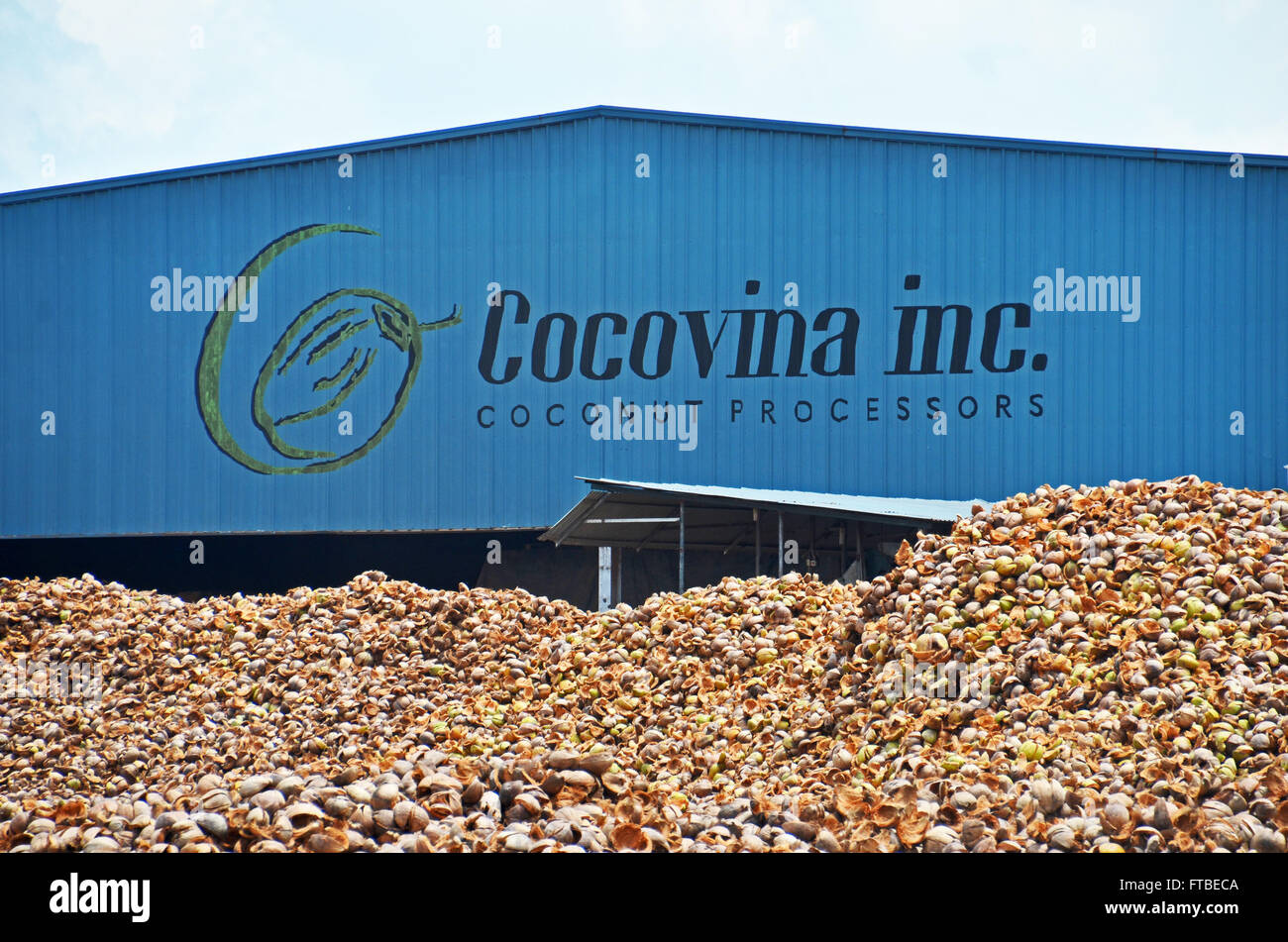 Gusci di noce di cocco impilati al di fuori di una fabbrica Cocovina nel Delta del Mekong vicino a Ben tre, Vietnam Foto Stock