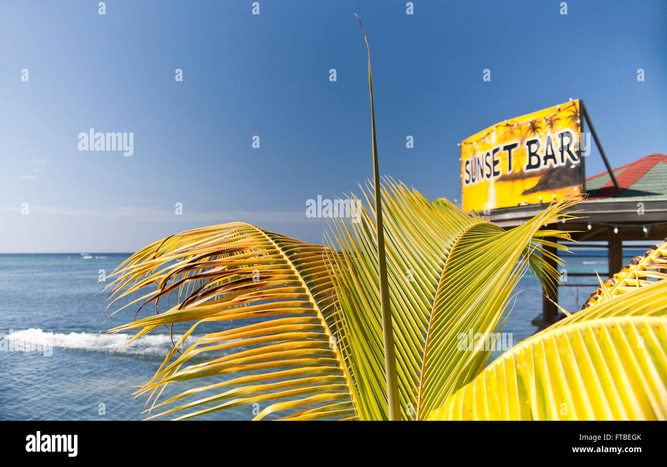 Mar dei Caraibi in background con una palma da cocco frond in primo piano con il Sunset Bar nascosto di lato Foto Stock
