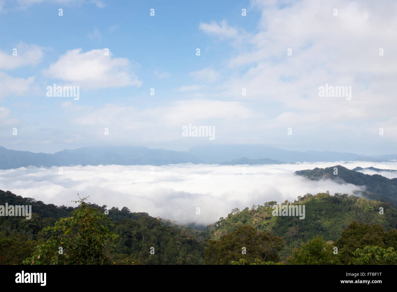 In tarda mattinata le gamme della montagna con la nebbia Foto Stock
