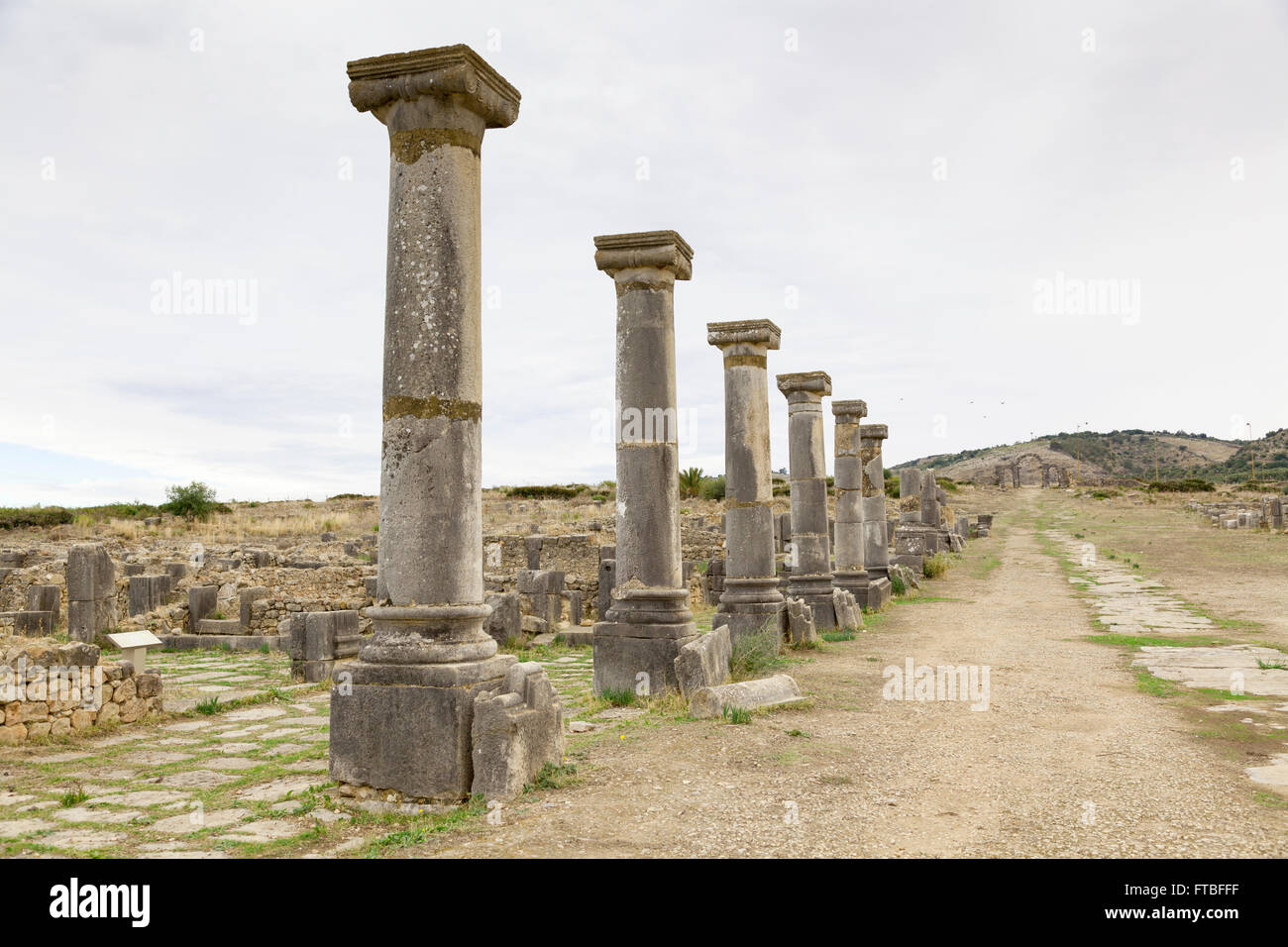 UNESCO World Heritage Site, Marocco - rovine Romane di Volubilis Foto Stock