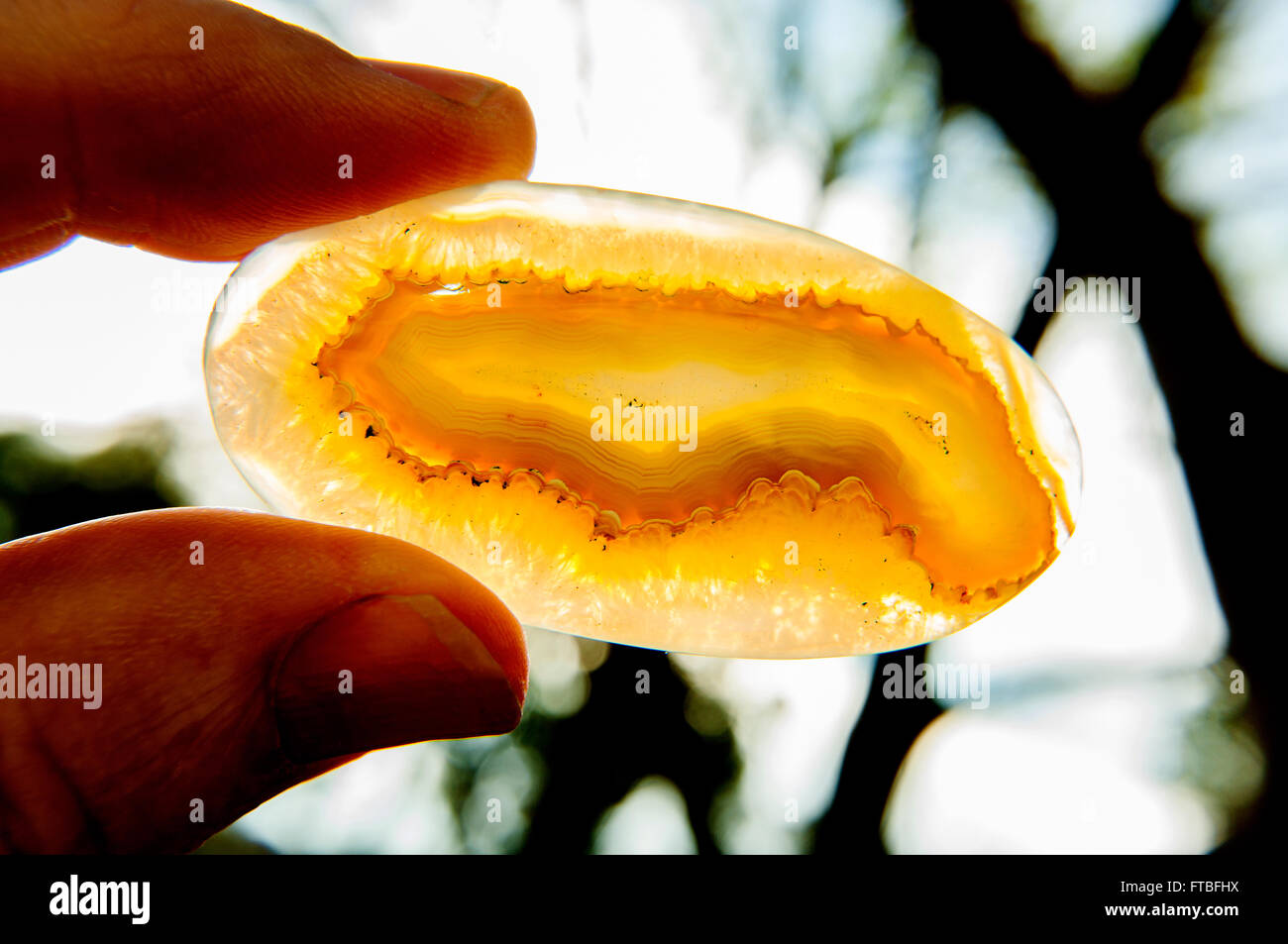 Africa naturali onice agata druzy pietra minerale in posizione park Foto Stock