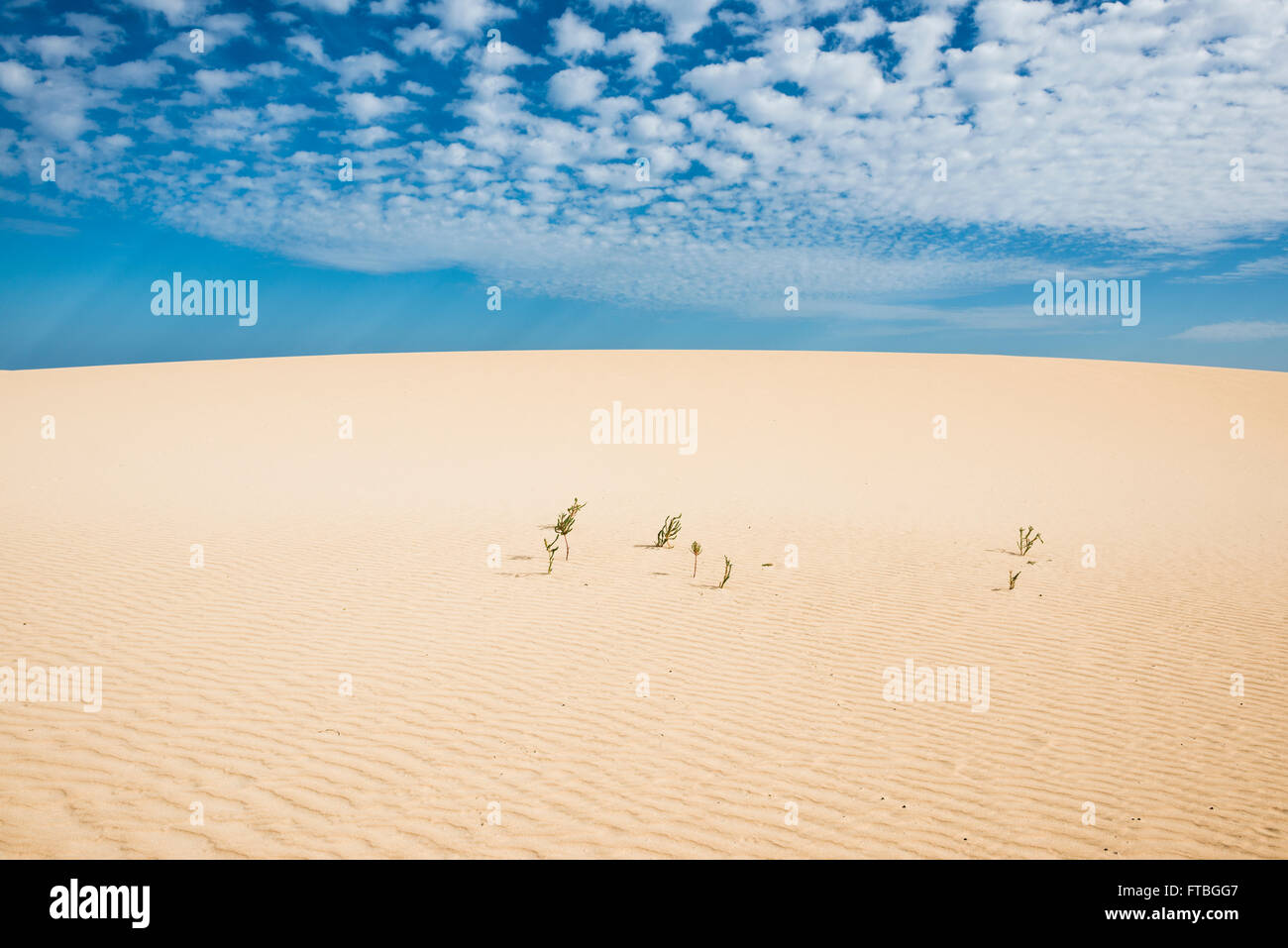 Le dune di sabbia bianca e le Dune di Corralejo parco naturale, Corralejo, Fuerteventura, Isole Canarie, Spagna Foto Stock