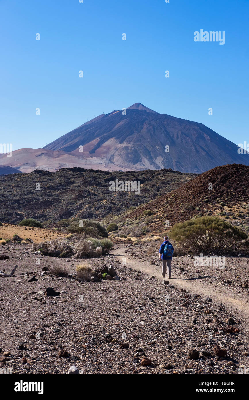 Sentiero escursionistico Ruta Arenas Negras e vulcano Teide, il Parco Nazionale del Teide, Parque Nacional de las Cañadas del Teide Tenerife Foto Stock