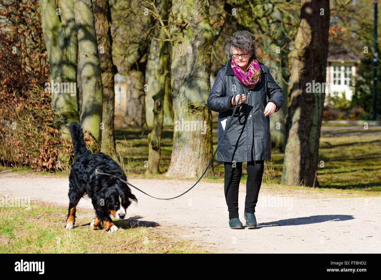 Kristianstad, Svezia - 20 Marzo 2016: Femmina gestore del cane e il suo cane facendo una passeggiata nel parco. Una soleggiata giornata di primavera con il real Foto Stock