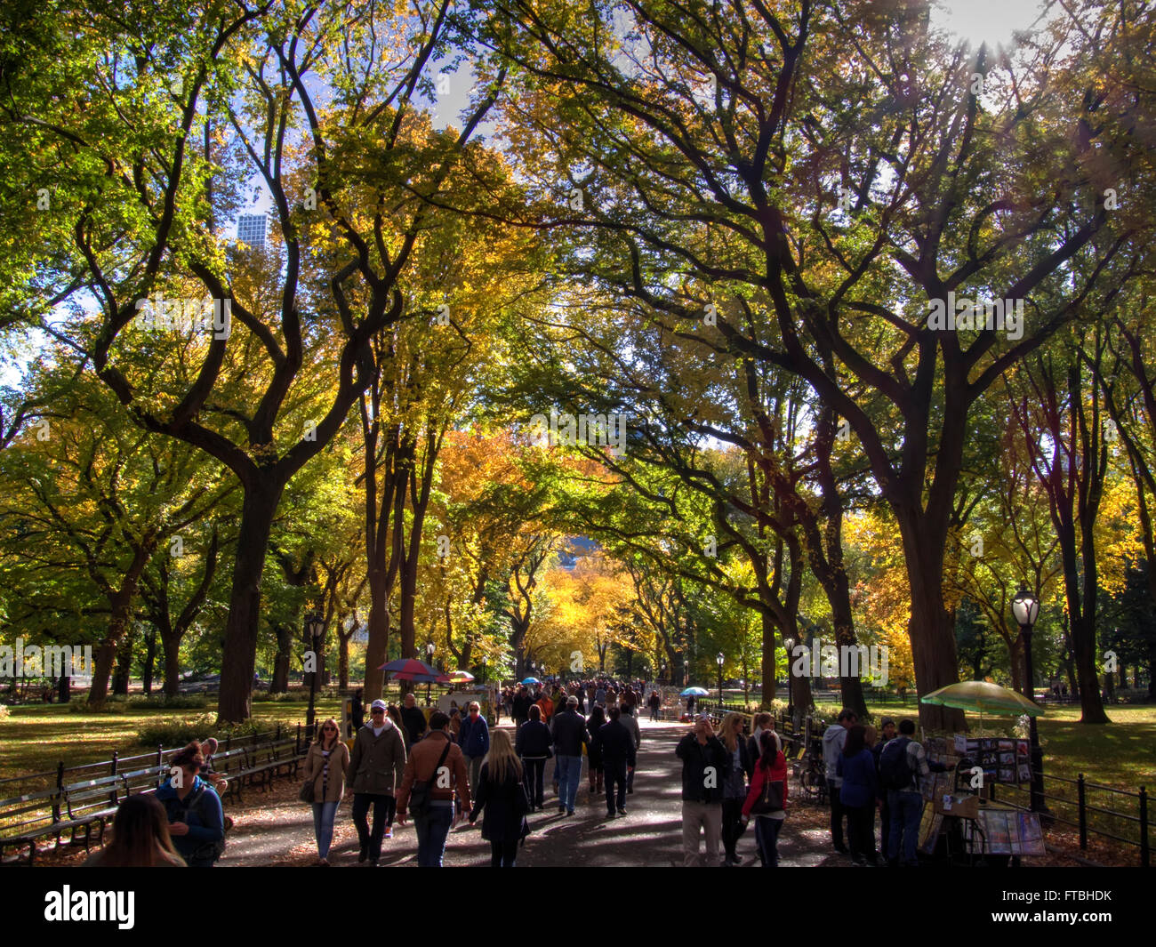 Central Park durante la caduta Foto Stock