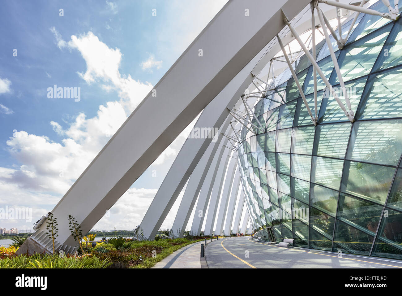 Cloud Forest garden in Singapore Foto Stock