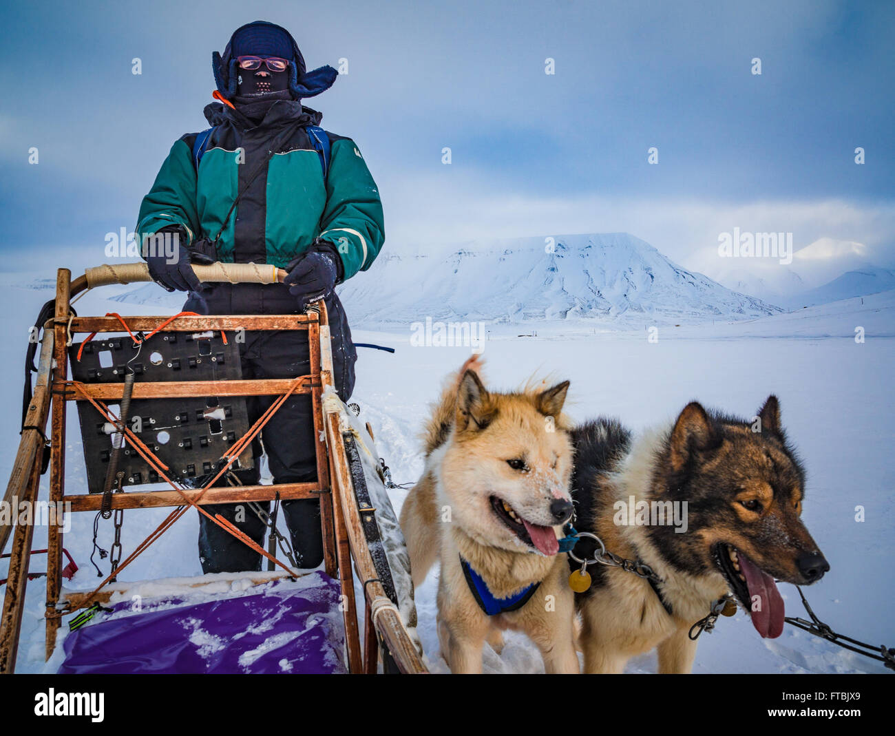 Lo sleddog Scott Turnerbreen ghiacciaio, vicino a Longyearbyen, Spitsbergen, Svalbard Foto Stock