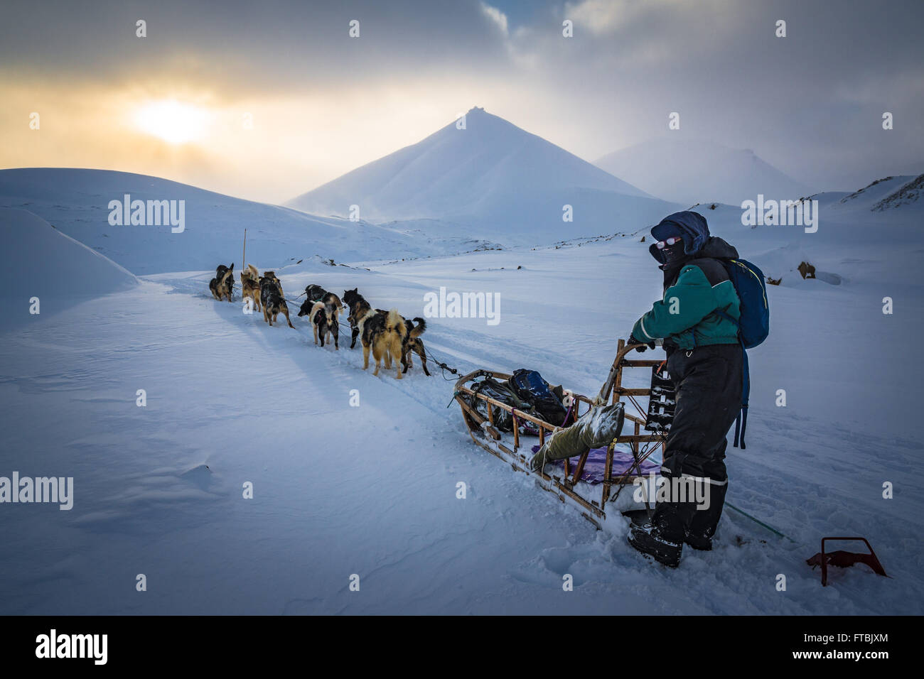 Lo sleddog Scott Turnerbreen ghiacciaio, vicino a Longyearbyen, Spitsbergen, Svalbard Foto Stock