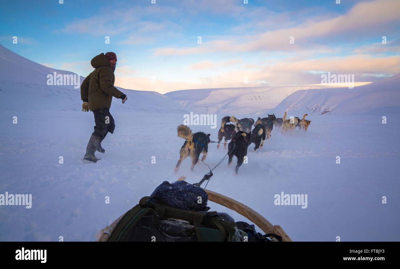 Lo sleddog Scott Turnerbreen ghiacciaio, vicino a Longyearbyen, Spitsbergen, Svalbard Foto Stock