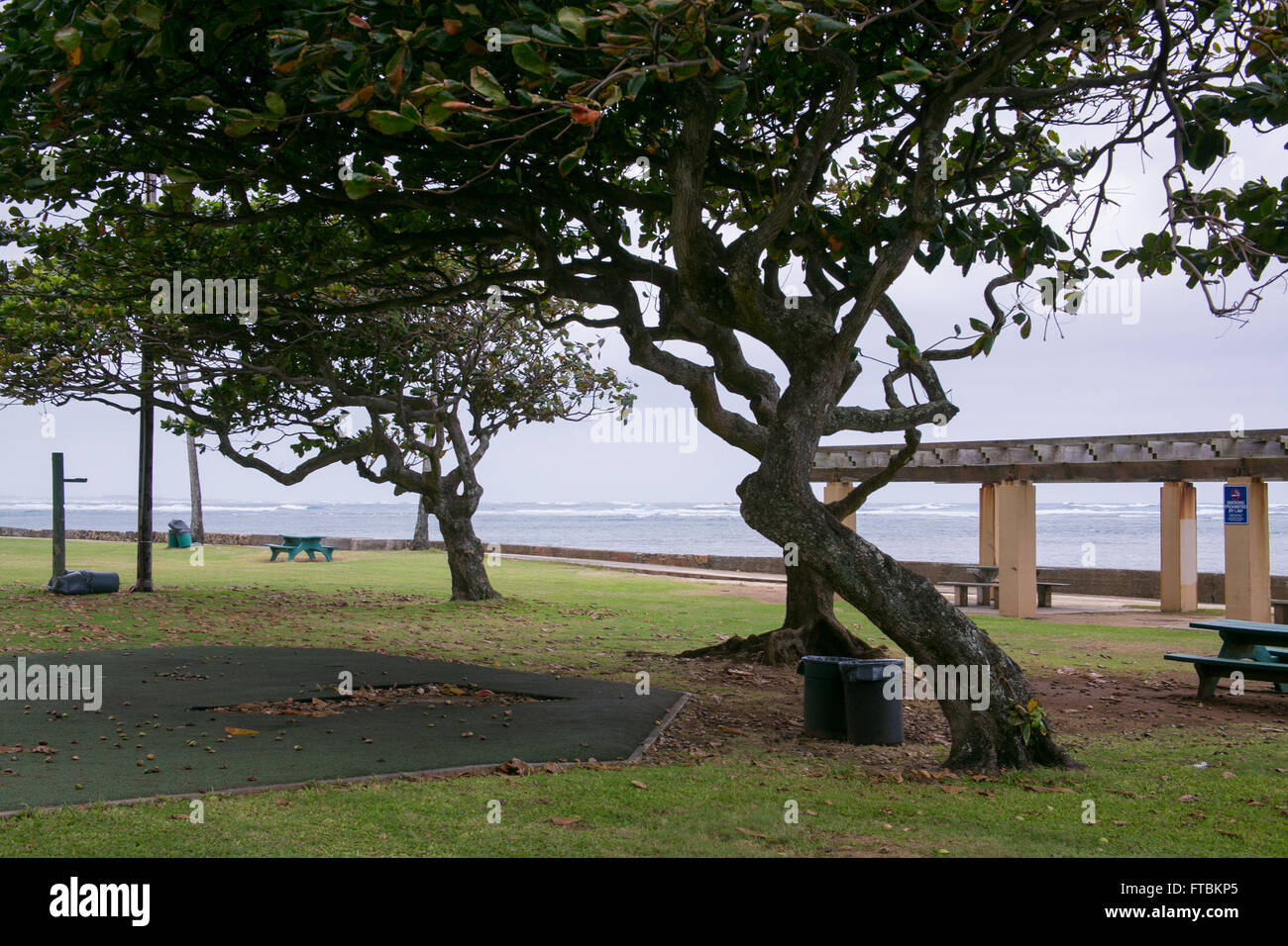 Un parco pubblico in spiaggia, Oahu, Hawaii. Foto Stock