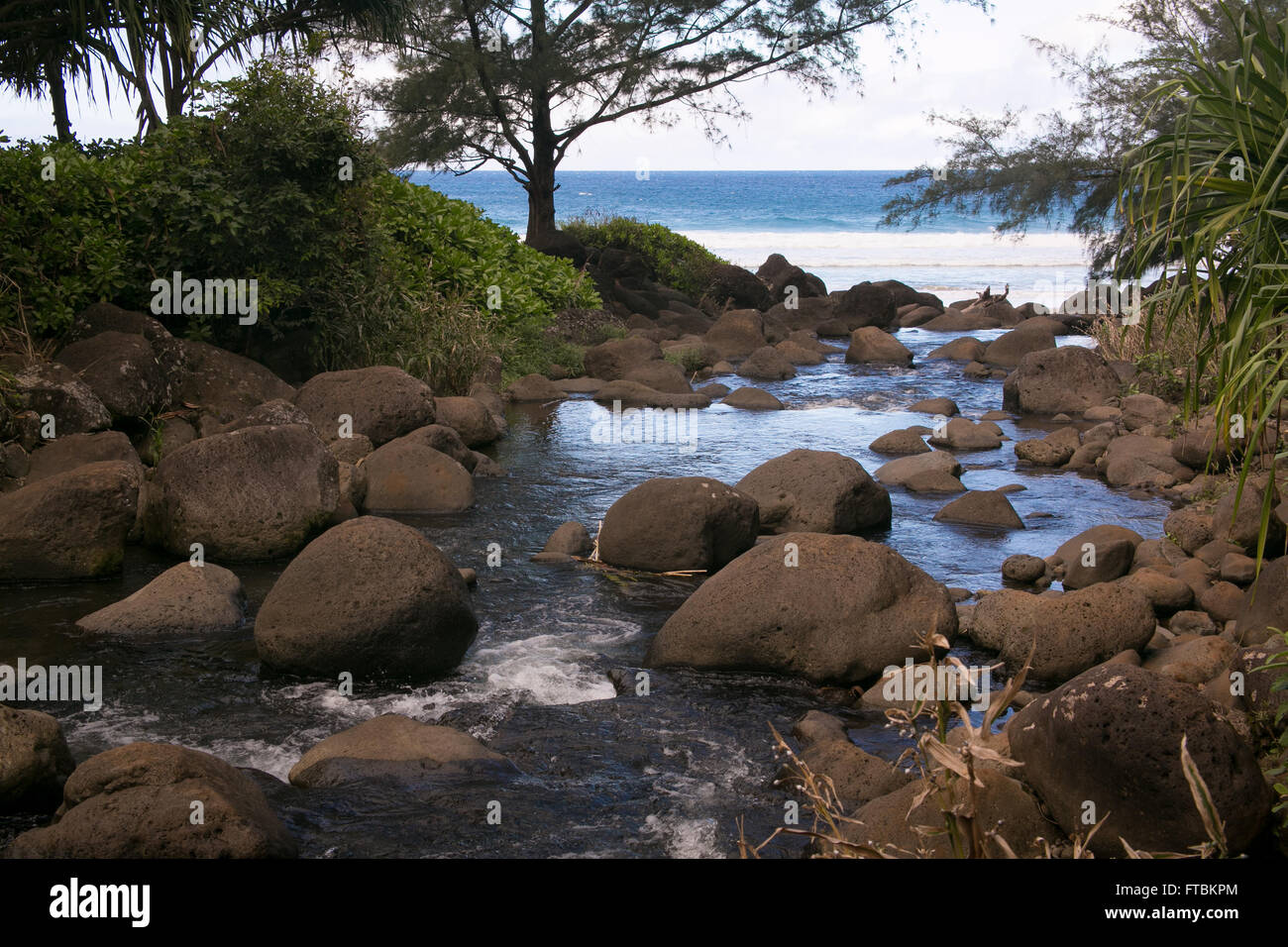 Una macchia di acqua lungo il Kalalau Trail in Kauai, Hawaii. Foto Stock