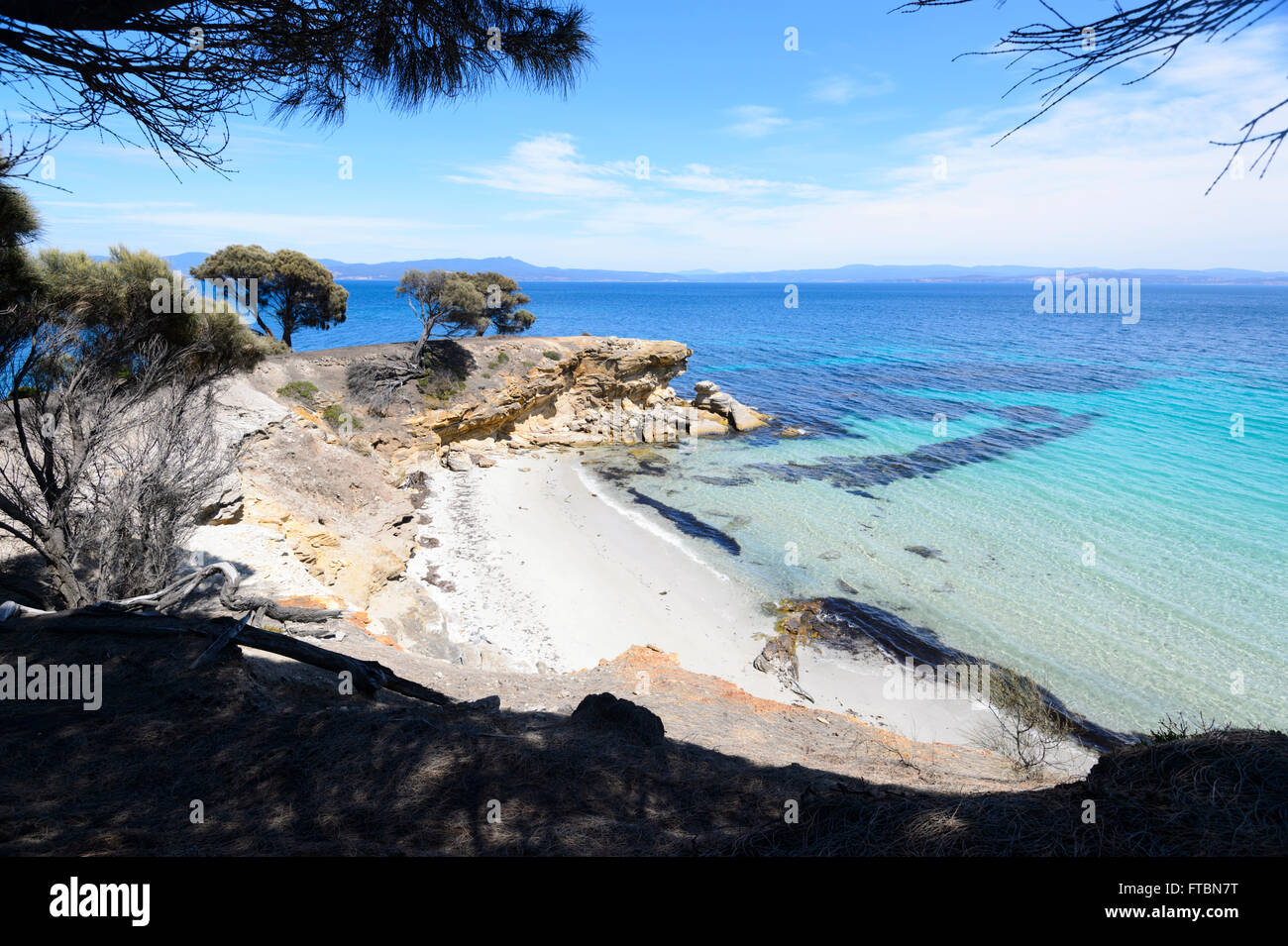 Maria Island National Park, la Tasmania, Australia Foto Stock