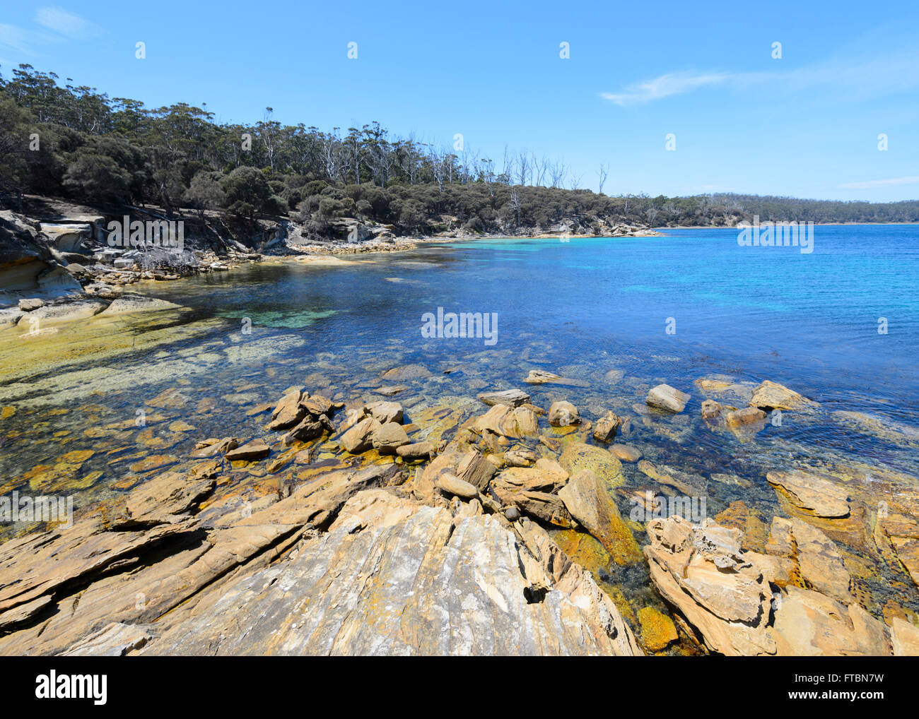 Maria Island National Park, la Tasmania, Australia Foto Stock