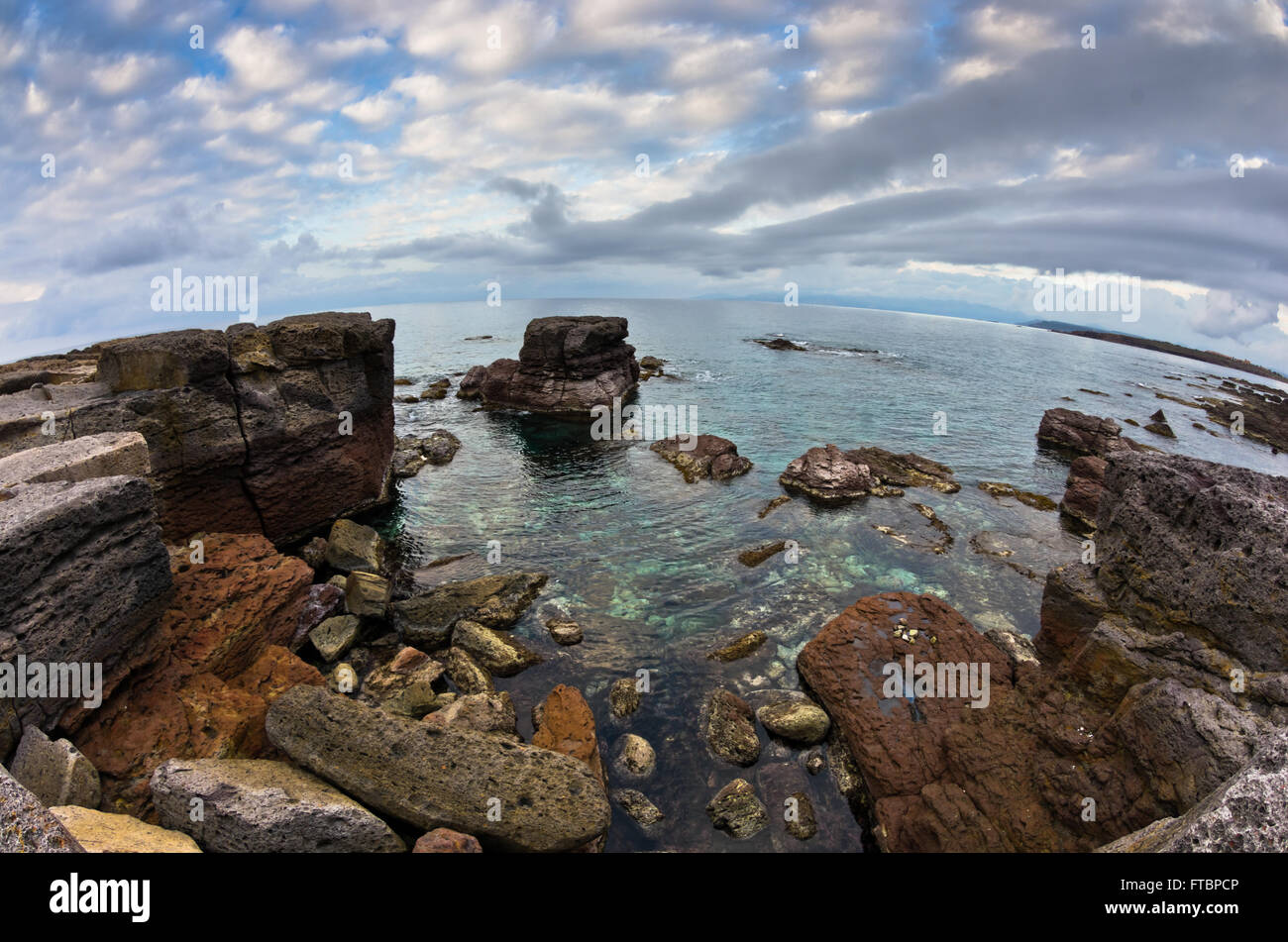 Atlantic tonno rosso preferito luogo di deposizione delle uova nei pressi di Isola di San Pietro, Sardegna, Italia Foto Stock