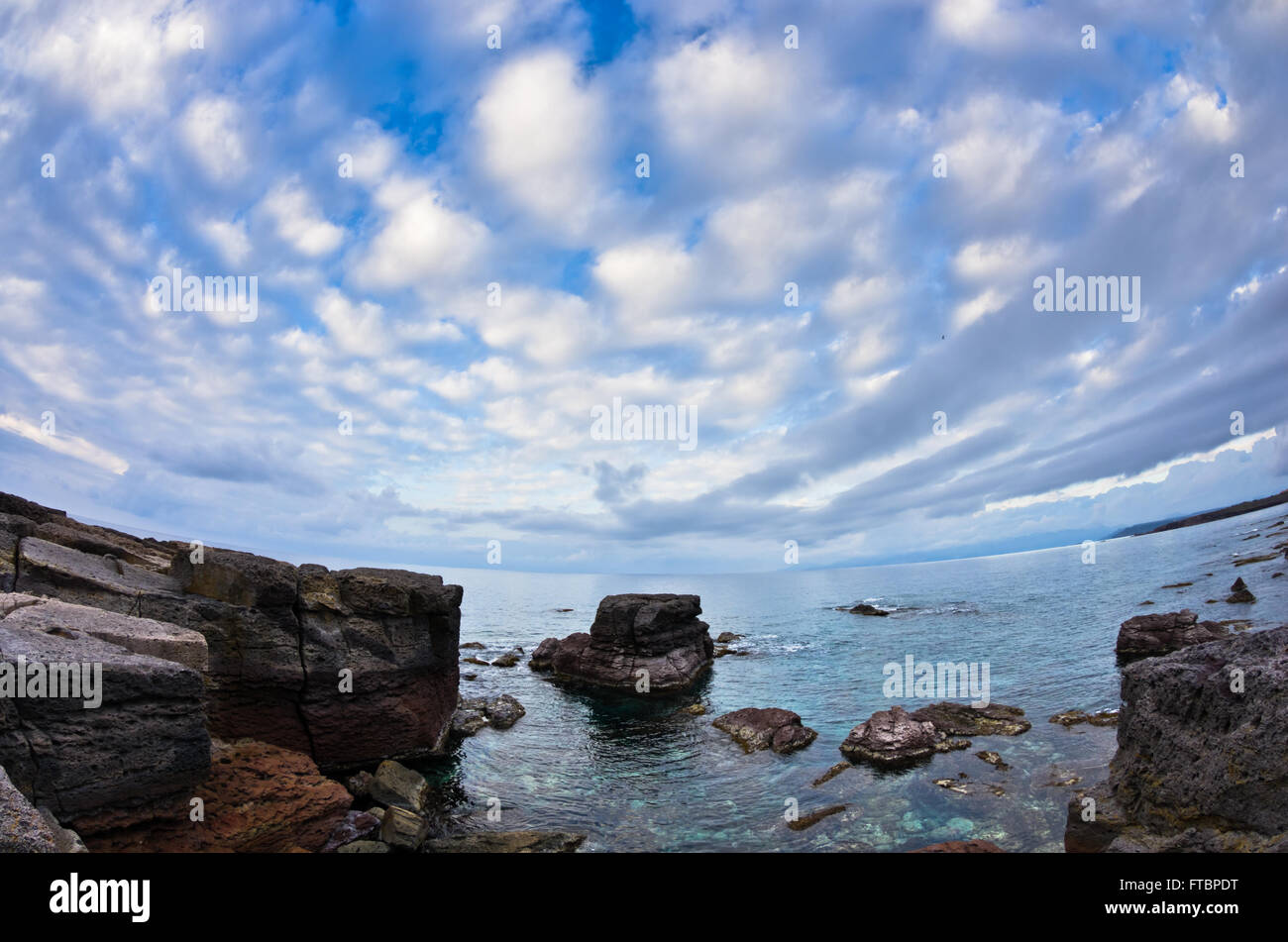 Atlantic tonno rosso preferito luogo di deposizione delle uova nei pressi di Isola di San Pietro, Sardegna, Italia Foto Stock