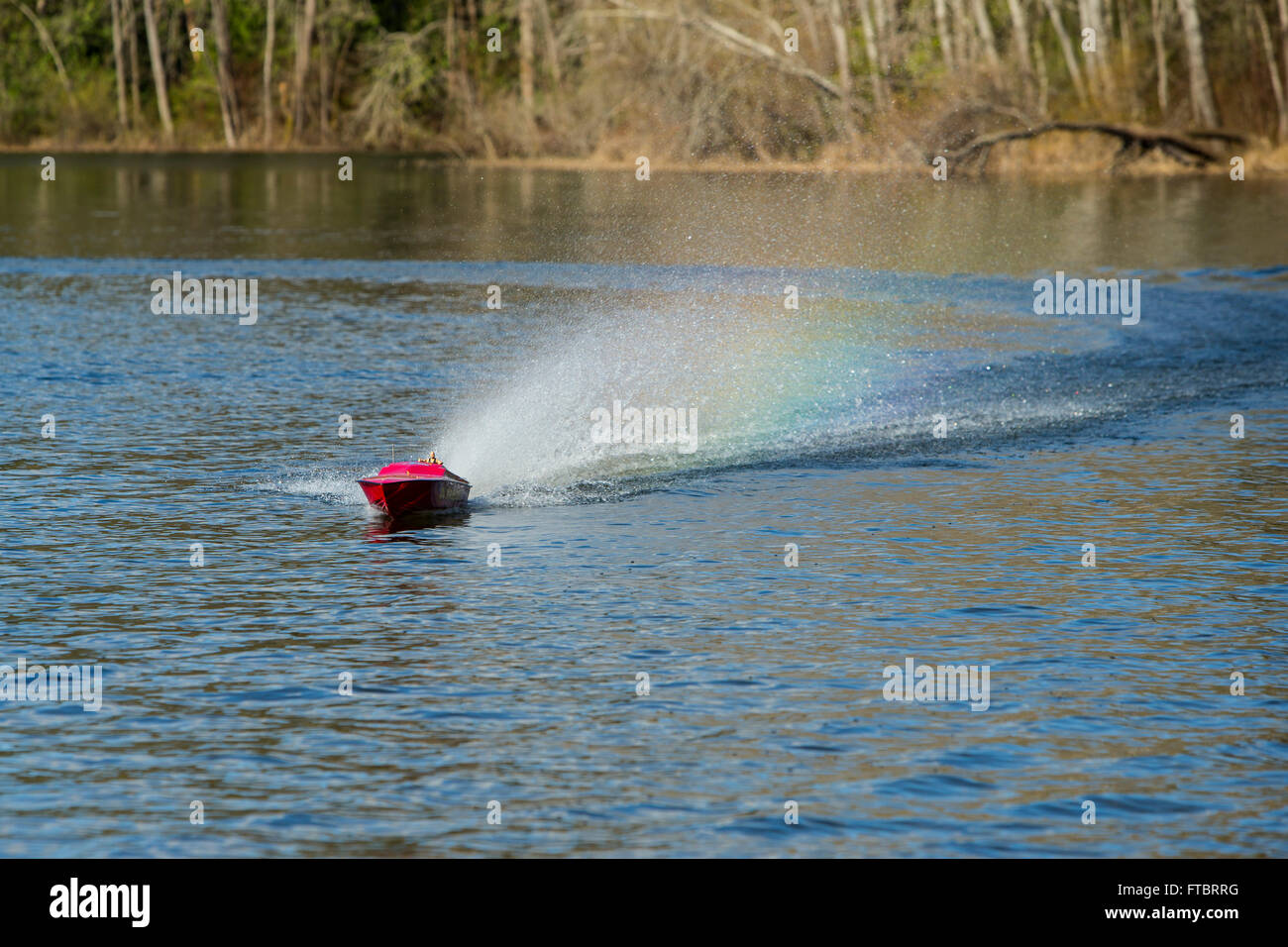 Comandato a distanza speedboat accelerando lungo Elk Lake-Victoria, British Columbia, Canada. Foto Stock