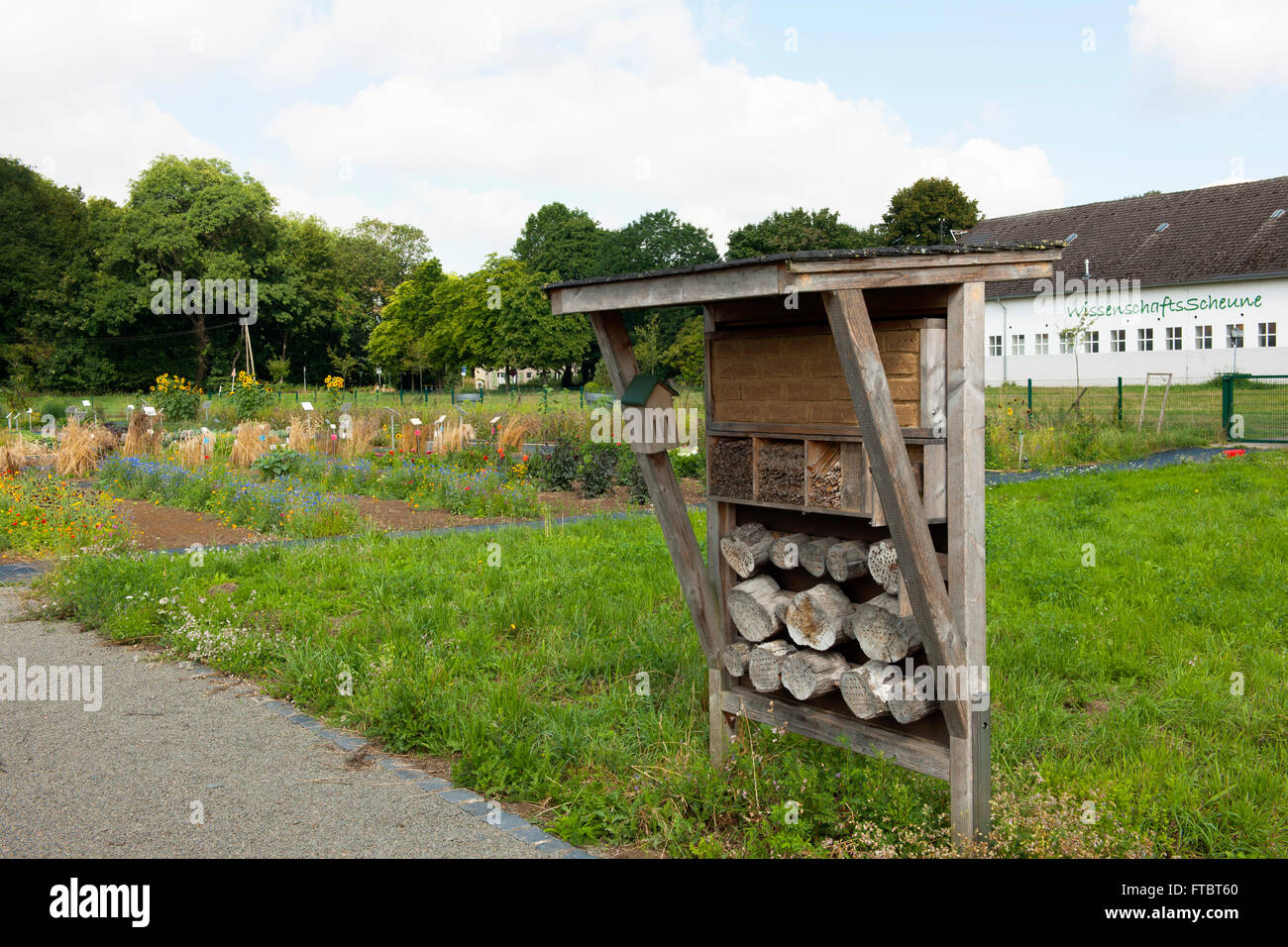 Deutschland, Köln, Max-Planck-Institut für Pflanzenzüchtungsforschung, Insektenhotel, im Hintergrund die Wissenschaftsscheune Wi Foto Stock