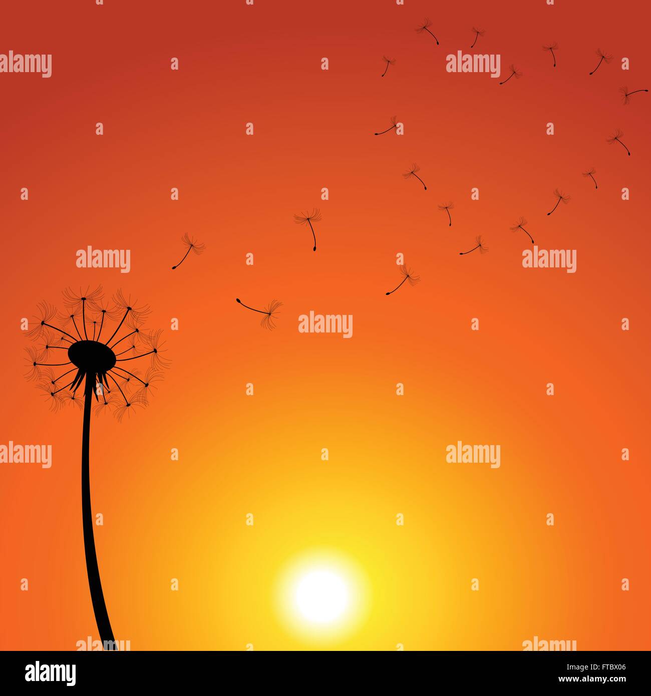 Tarassaco tramonto illustrazione Illustrazione Vettoriale
