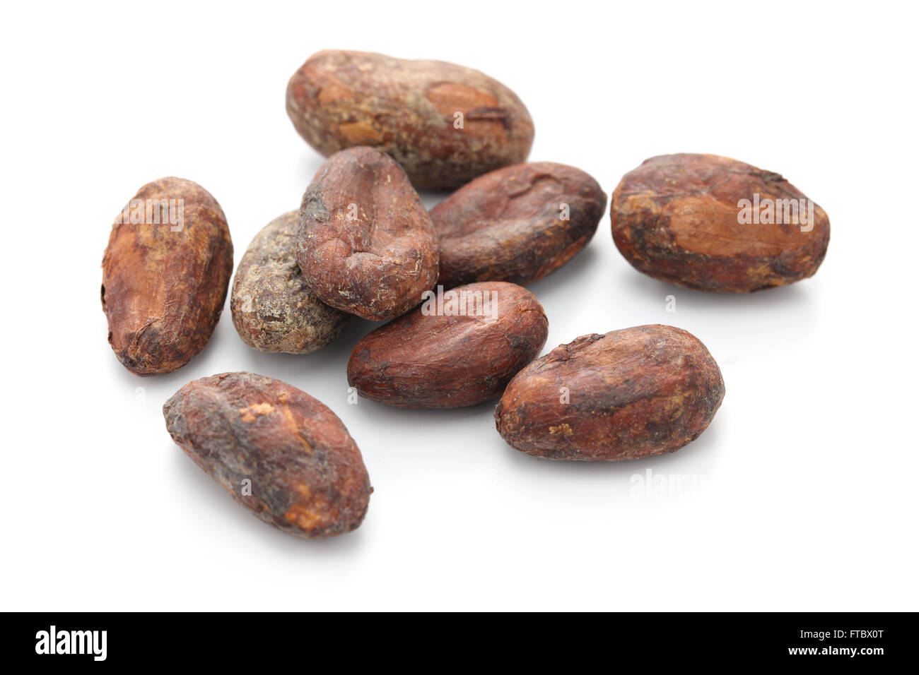 Materie cacao Le fave di cacao su sfondo bianco Foto Stock