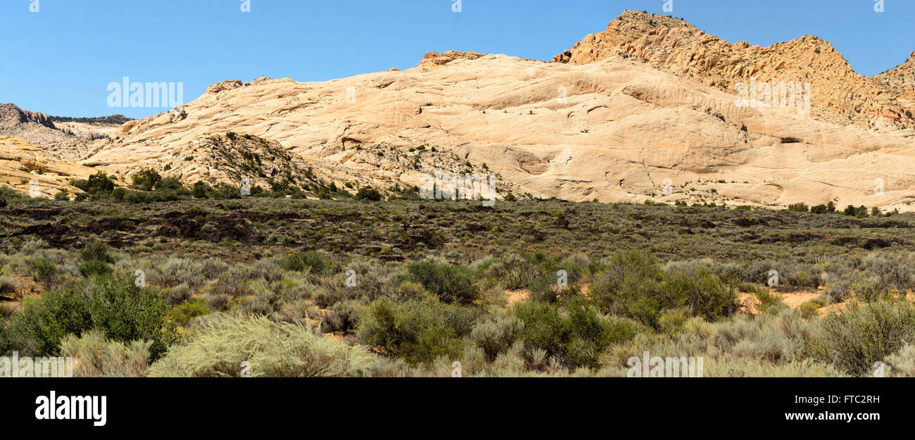 Vallata desertica con spazzola di verde e bianco delle colline rocciose. Foto Stock