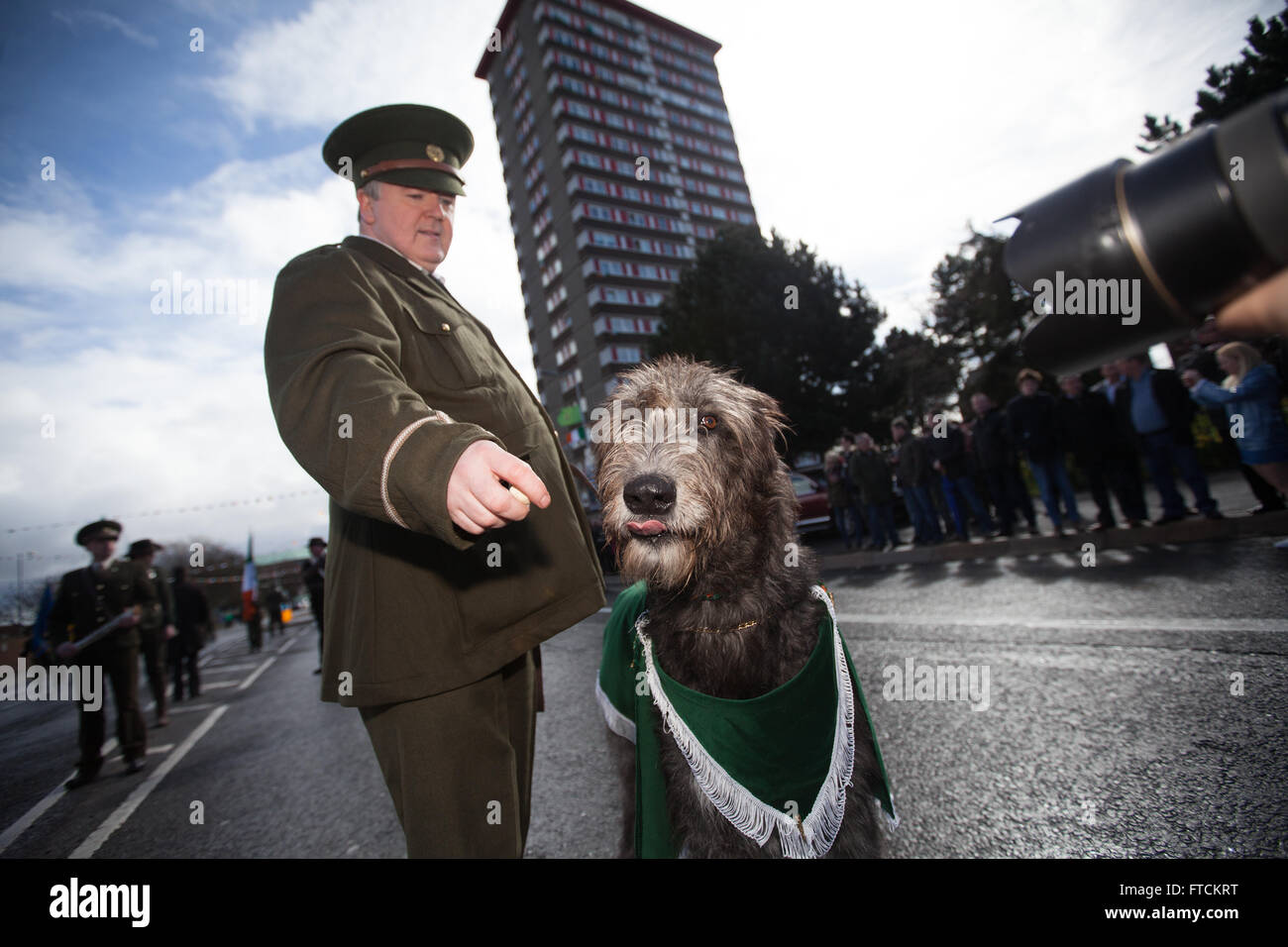 Falls Road, Belfast, Regno Unito 27 marzo 2016 Tara la Irish Wolfhound fuori Divis Tower presso la Pasqua Rising centenario Parade Credito: Bonzo Alamy/Live News Foto Stock