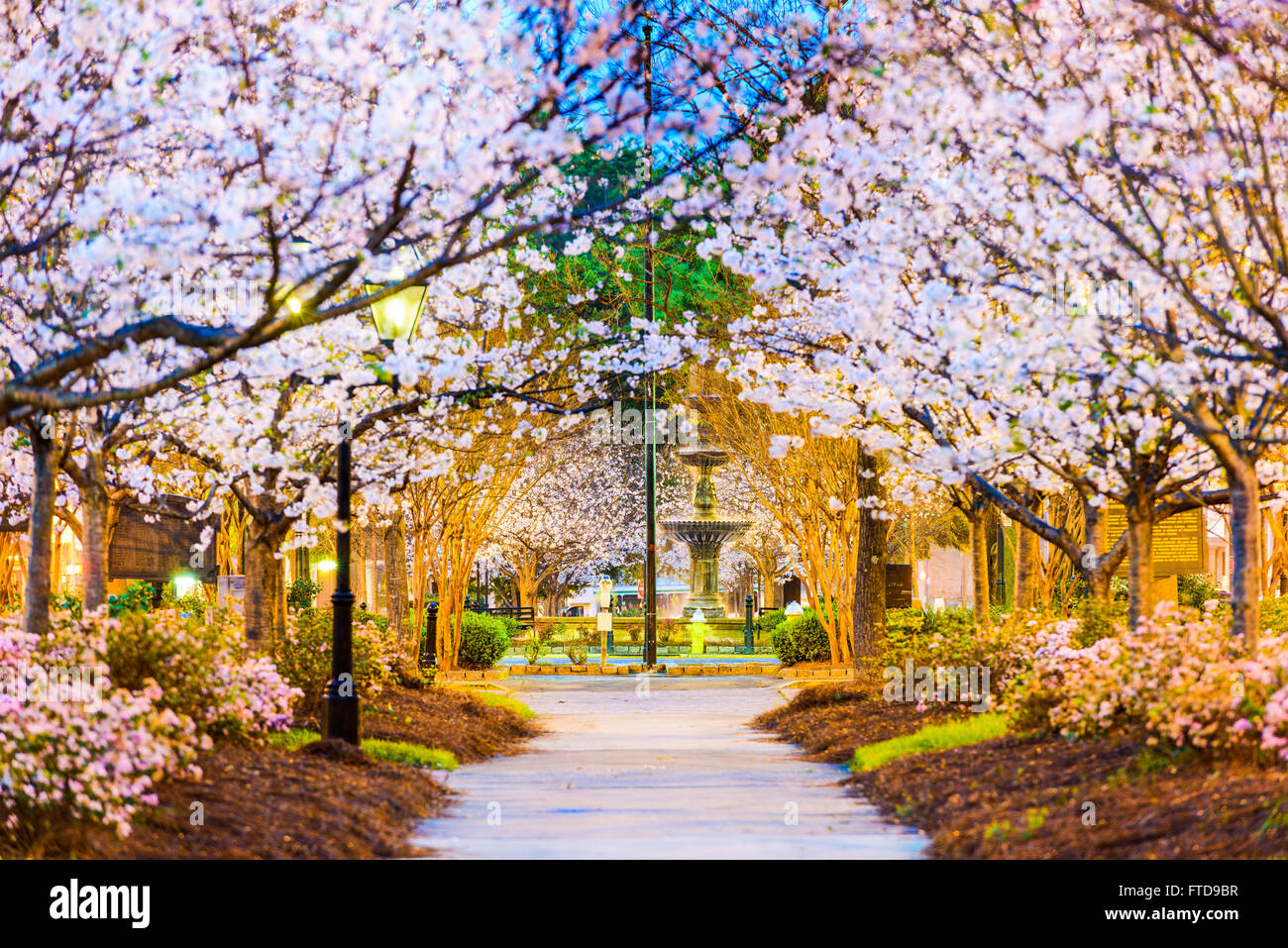 Macon, Georgia, Stati Uniti d'America in primavera. Foto Stock