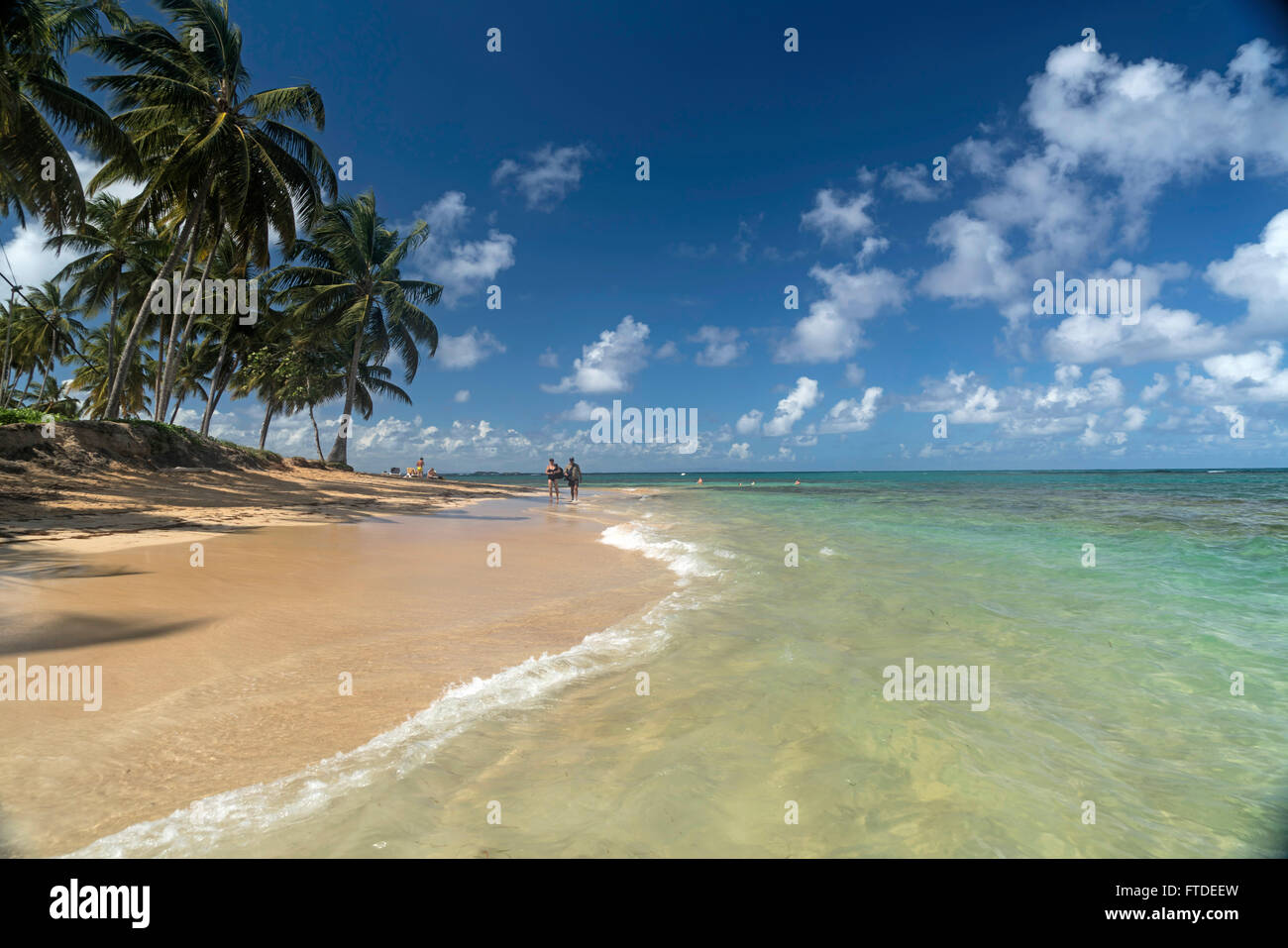 Spiaggia orlata di palme in Las Terrenas, penisola di Samana Repubblica Dominicana, Caraibi, America, Foto Stock