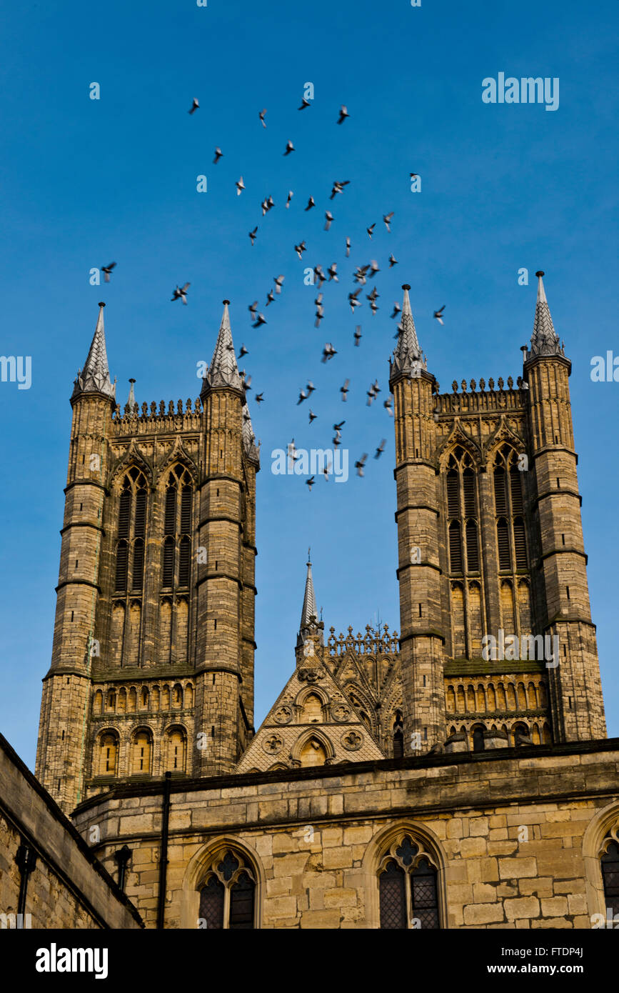 Piccioni cerchio le torri della Cattedrale di Lincoln, Lincolnshire, Regno Unito Foto Stock