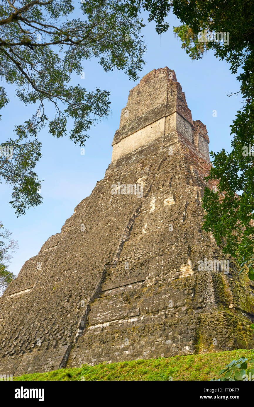 Rovine Maya - Tempio della grande Jaguar (Templo del Gran Jaguar), il Parco Nazionale di Tikal, Guatemala, UNESCO Foto Stock