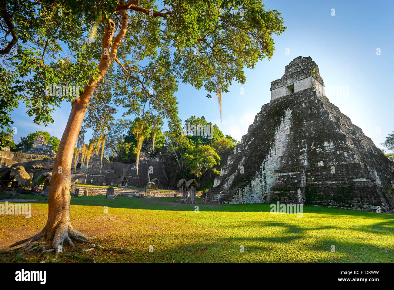 Rovine Maya - Tempio della grande Jaguar, il Parco Nazionale di Tikal, Yucatan, Guatemala, UNESCO Foto Stock