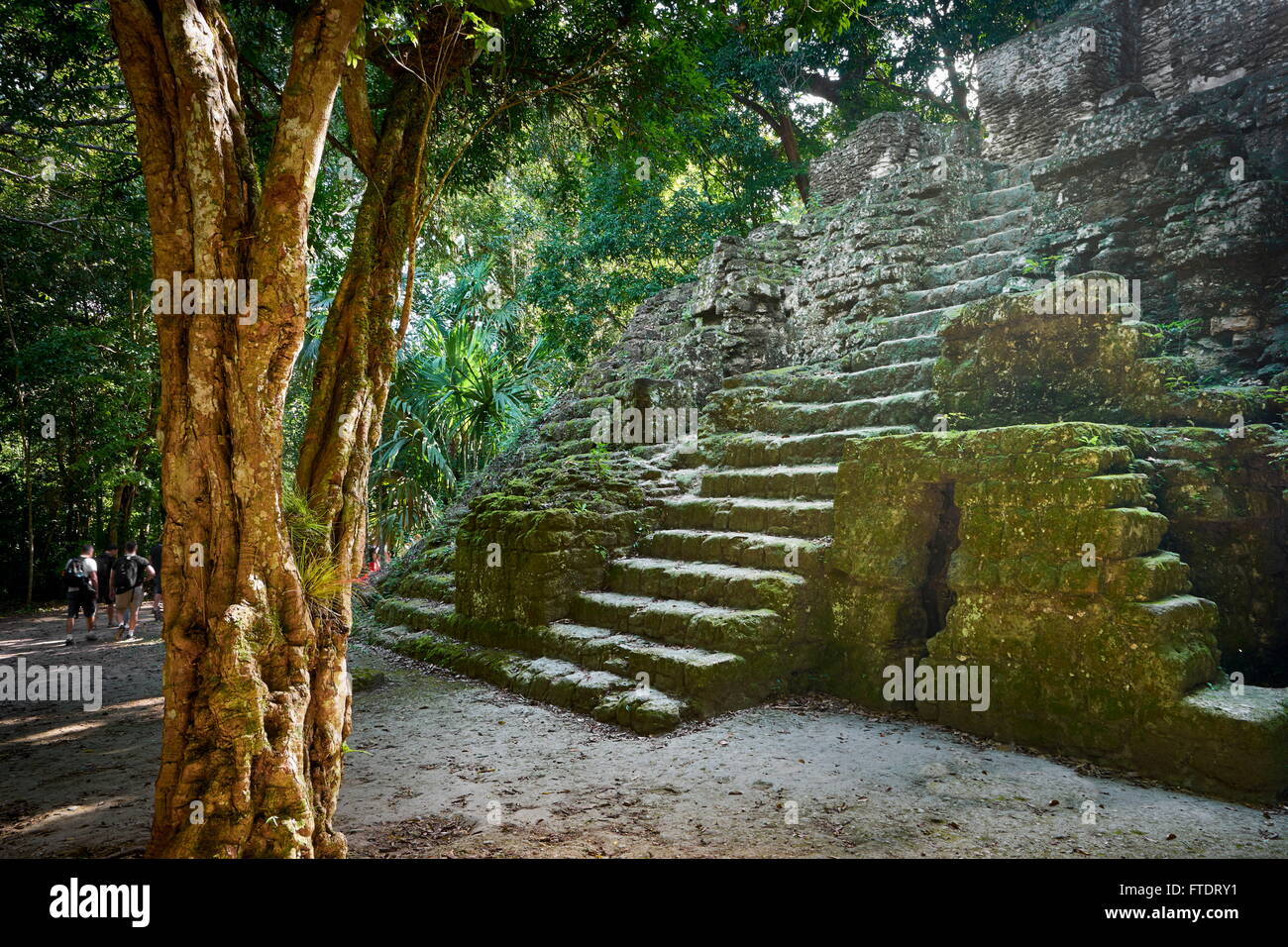 Le antiche rovine Maya, il Parco Nazionale di Tikal, Yucatan, Guatemala UNESCO Foto Stock