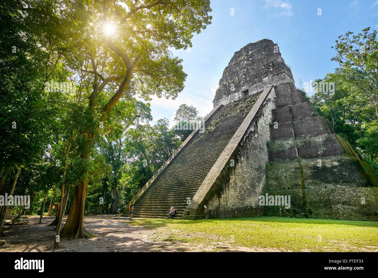 Parco Nazionale di Tikal - Tempio V, antiche rovine Maya, Yucatan, Guatemala UNESCO Foto Stock