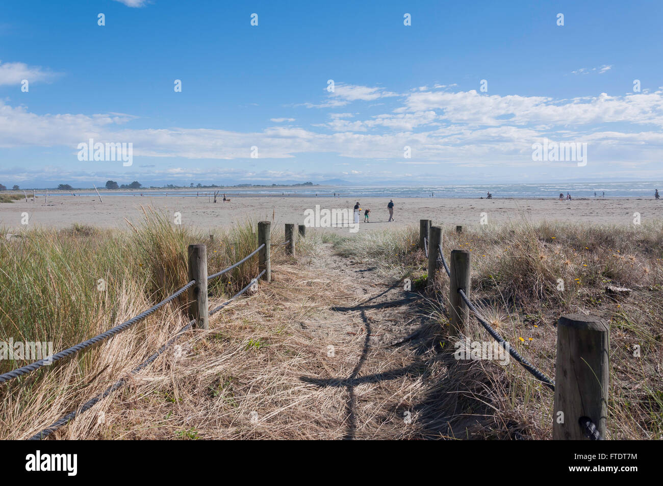 Percorso attraverso le dune di Sumner Beach, Sumner, Christchurch, regione di Canterbury, Isola del Sud, Nuova Zelanda Foto Stock