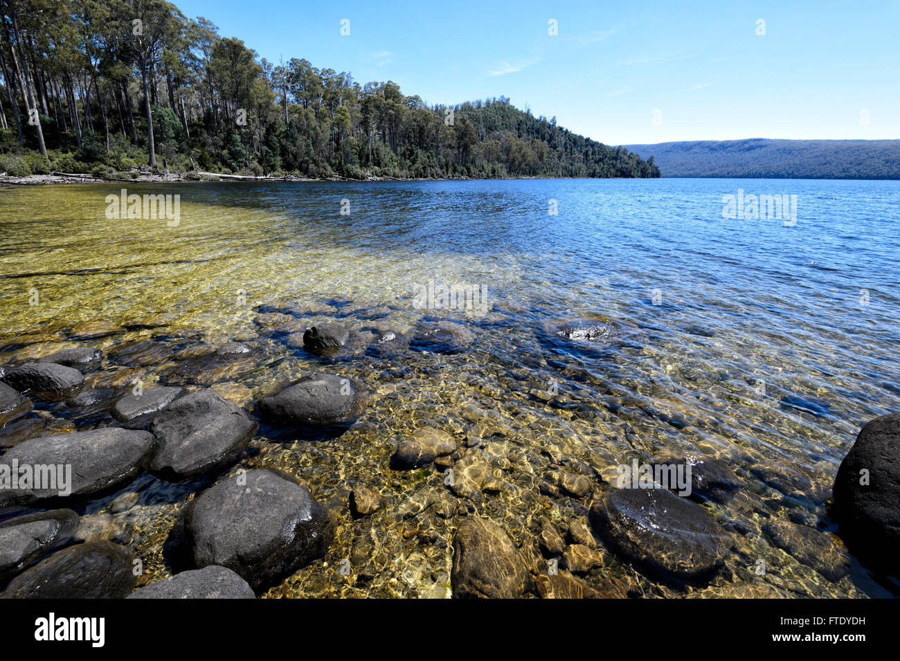 Il lago St Clair, Cradle Mountain-Lake St Clair National Park, la Tasmania, TAS, Australia Foto Stock