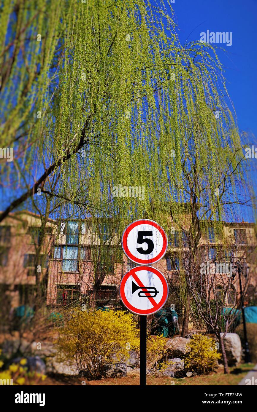 Scena urbana.cartello stradale, alberi fiori, cielo blu ed edifici. Numero 5 e nessun segno di clacson. Bella giornata Foto Stock