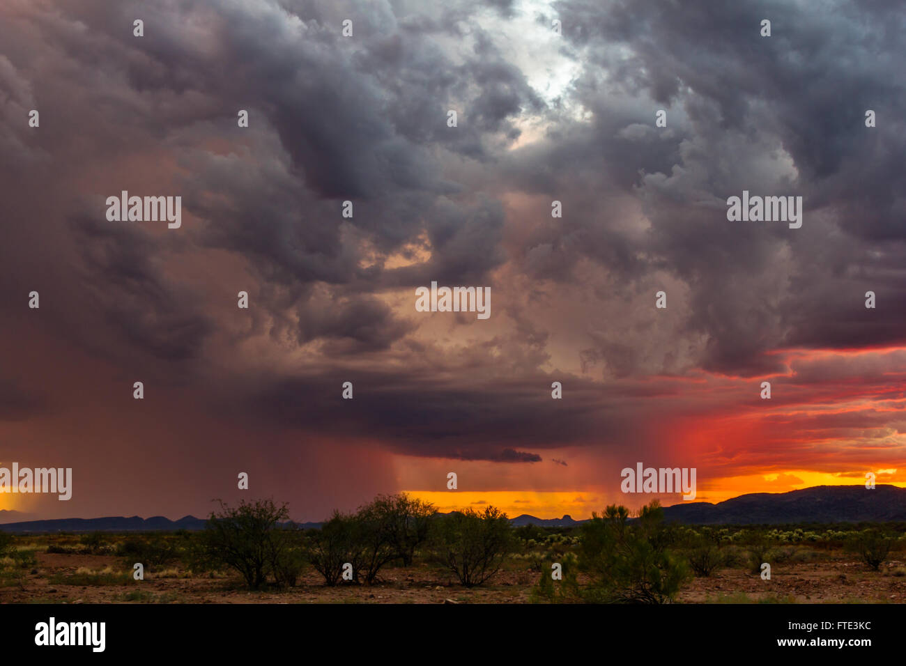 Una tempesta di monsone con le nubi drammatiche e il cielo del tramonto nel deserto vicino Phoenix, Arizona, USA Foto Stock