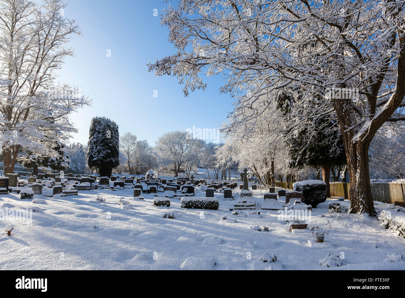 Cowbridge, Galles, Cowbridge, cimitero sotto la neve con alberi pieni di neve e luce del sole con lunghe ombre e un cielo blu chiaro Foto Stock