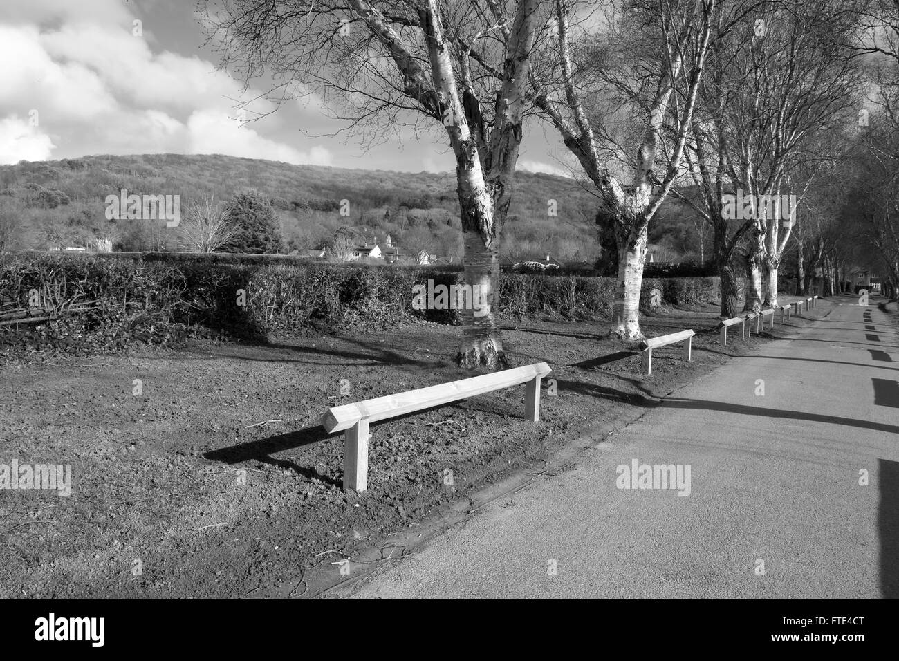 Bassa pali da recinzione eretta da impedire alle automobili di parcheggio su erba sconfinano in corrispondenza di una bellezza rurale di spot o parco. Il 28 marzo 2016 Foto Stock