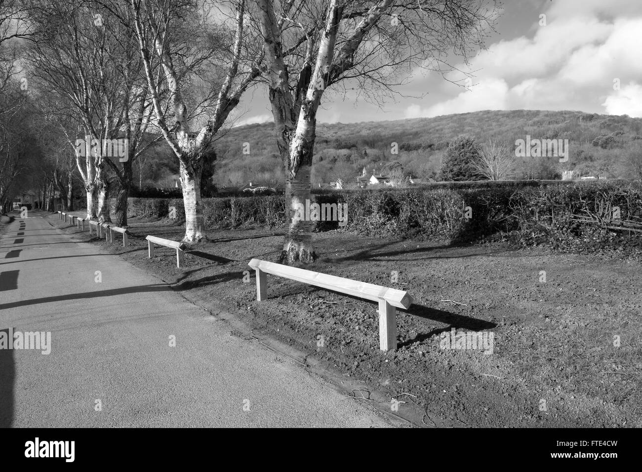 Bassa pali da recinzione eretta da impedire alle automobili di parcheggio su erba sconfinano in corrispondenza di una bellezza rurale di spot o parco. Il 28 marzo 2016 Foto Stock