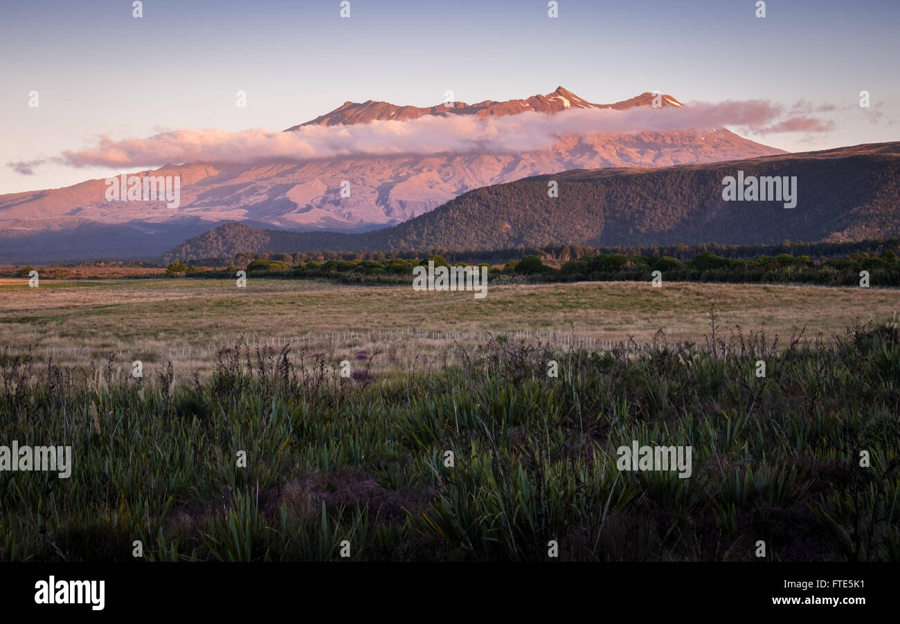 Una vista di Mt. Ruapehu nel Parco Nazionale di Tongariro Foto Stock