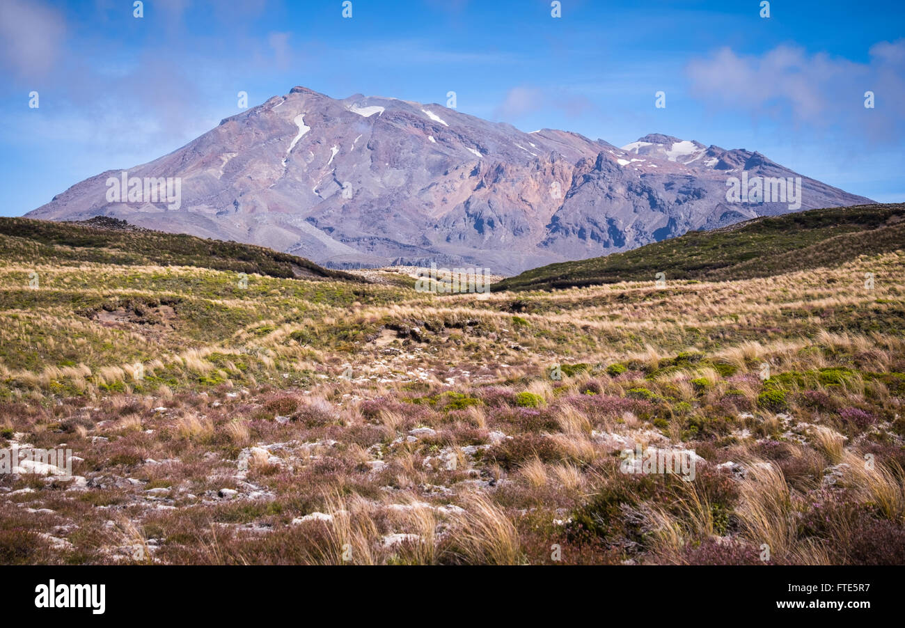 Mt Ruapehu e il circostante paesaggio alpino nel Parco Nazionale di Tongariro, Nuova Zelanda Foto Stock