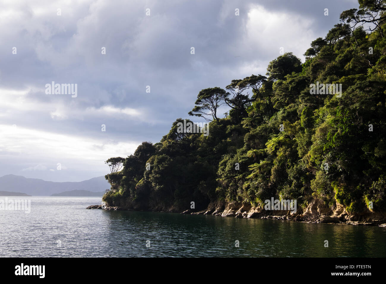 Nave's Cove nel Marlborough Sounds, Nuova Zelanda. Foto Stock